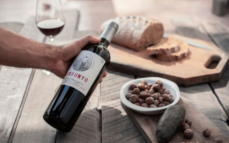 Os 3 Melhores Vinhos Cabernet Sauvignon Chilenos
