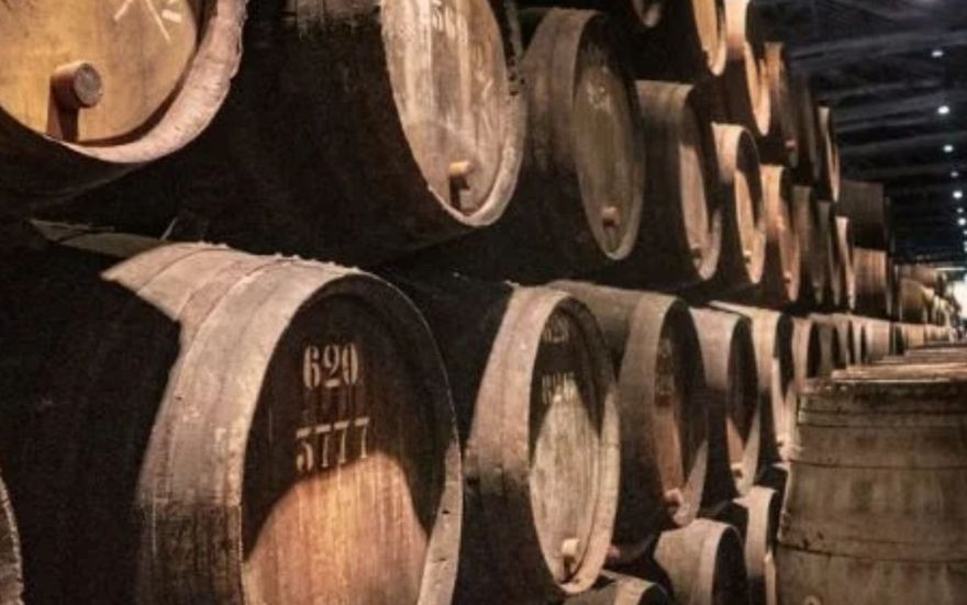 Processo de Fermentação do Vinho: Uma Jornada de Transformação