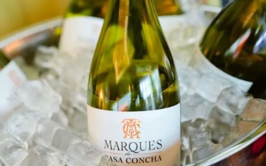 Qual a Temperatura Ideal para Tomar Vinho?