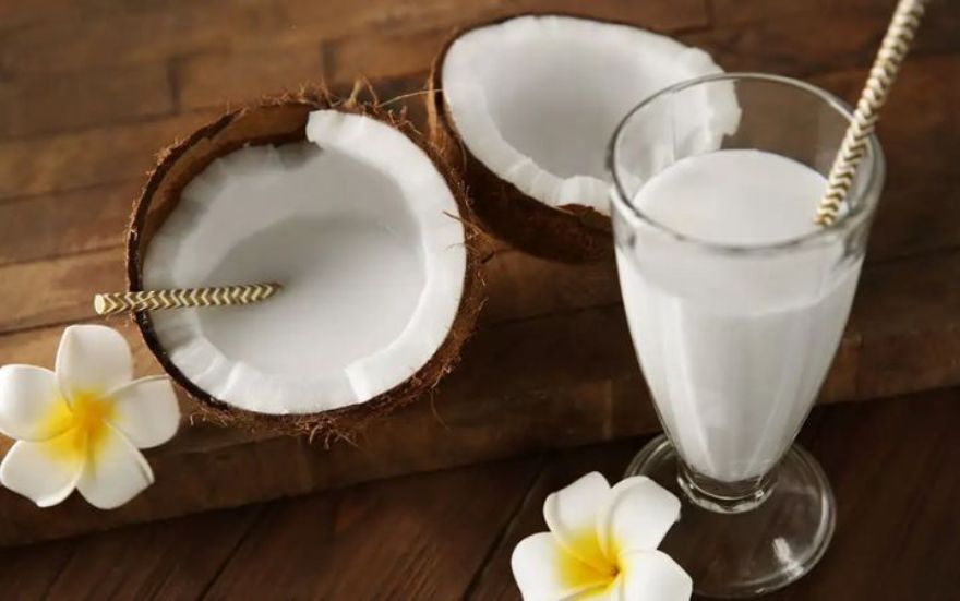 Receita de Batida de Coco, Ingredientes e Passo a Passo