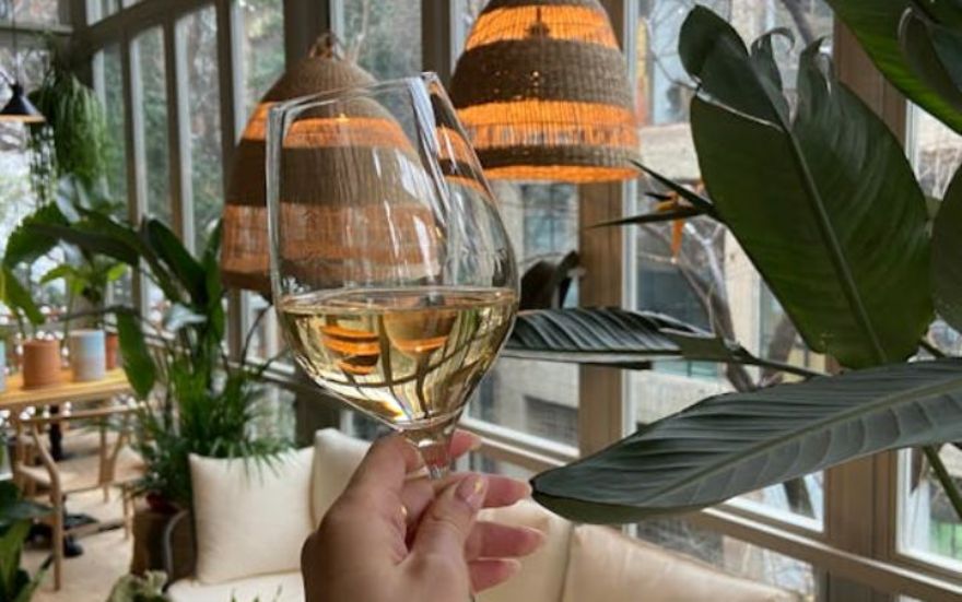 Top 5 Bons Vinhos Sauvignon Blanc a Bom Preço
