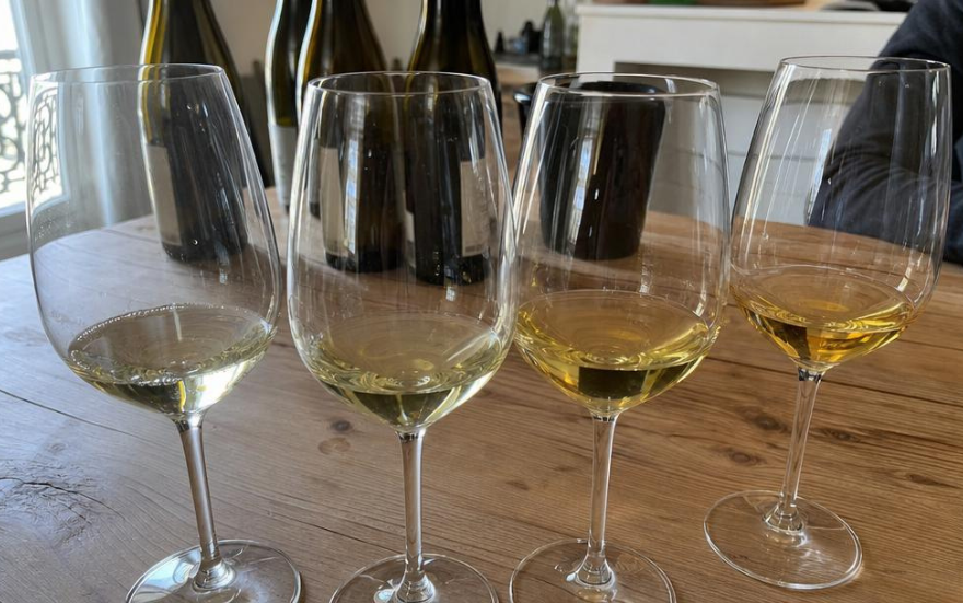 Tipos de Vinho Branco e Suas Características: Guia Completo