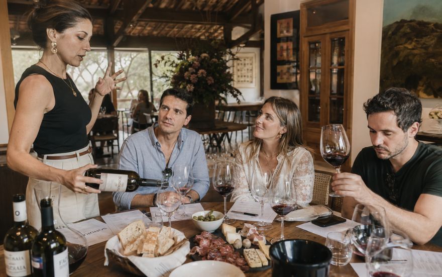 Os 7 melhores Cabernet Sauvignon para experimentar