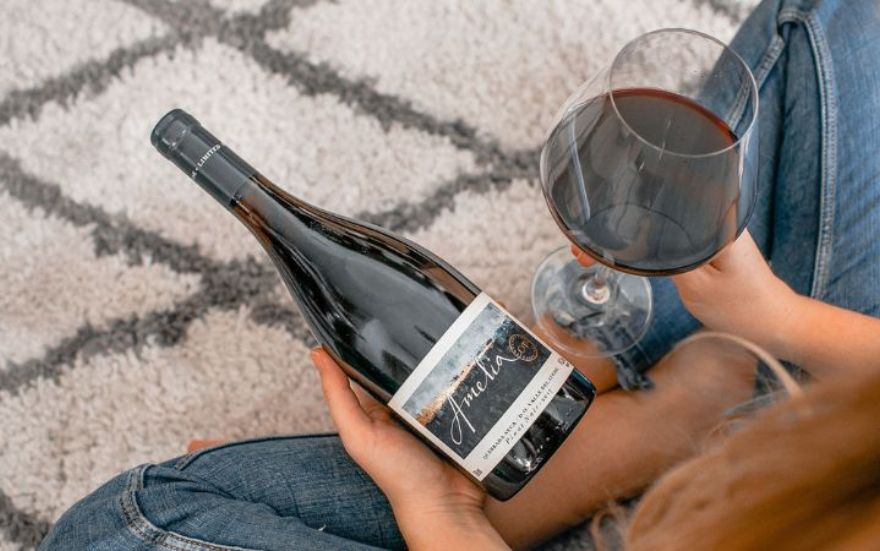 Top 5 Vinhos Imperdíveis do Chile