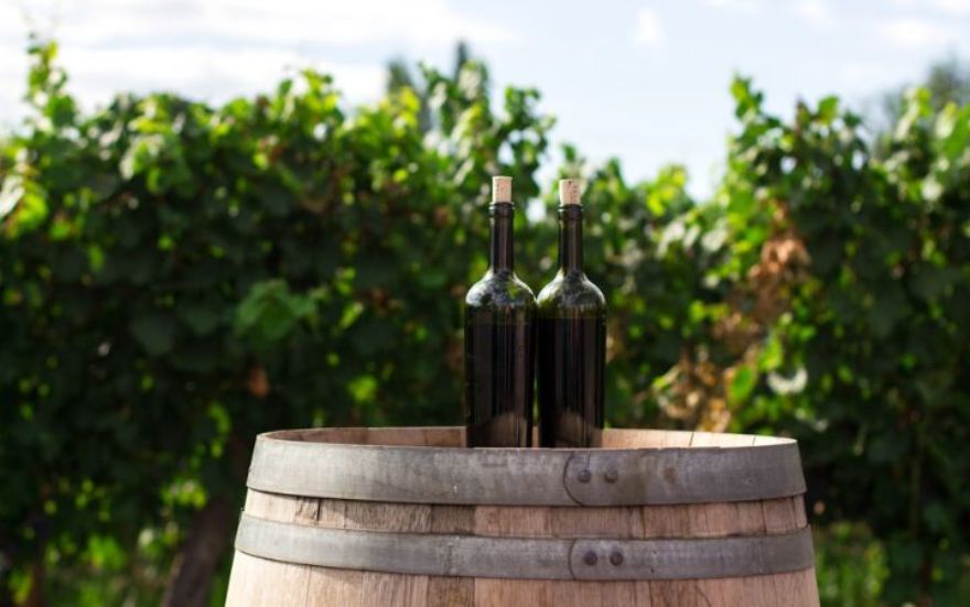 Top 6 Exemplares de Vinho Chileno Que Você Precisa Conhecer