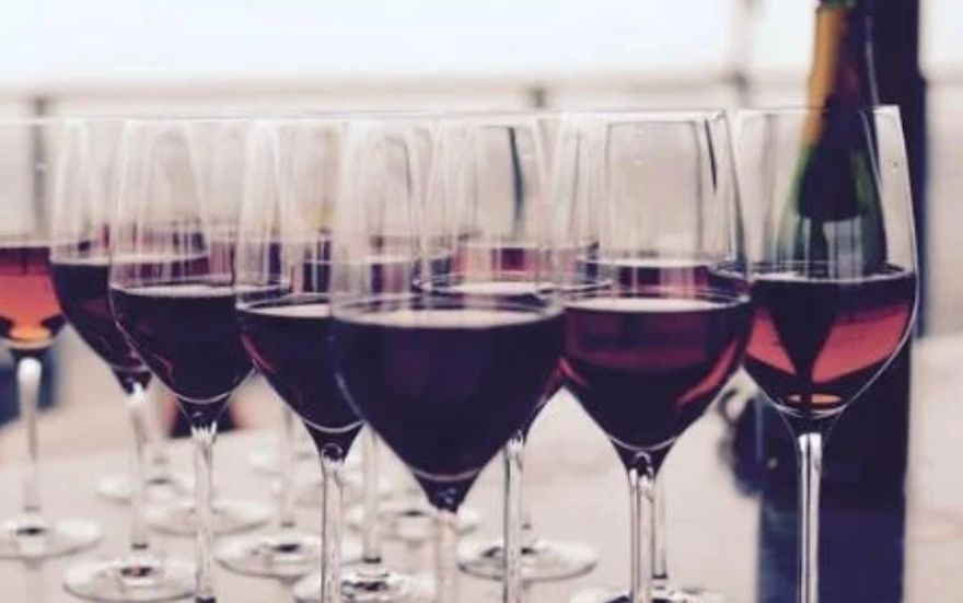 Tudo sobre o vinho Merlot: um guia completo