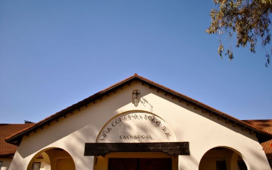 Vinhos Concha y Toro: Tudo o Que Você Precisa Saber