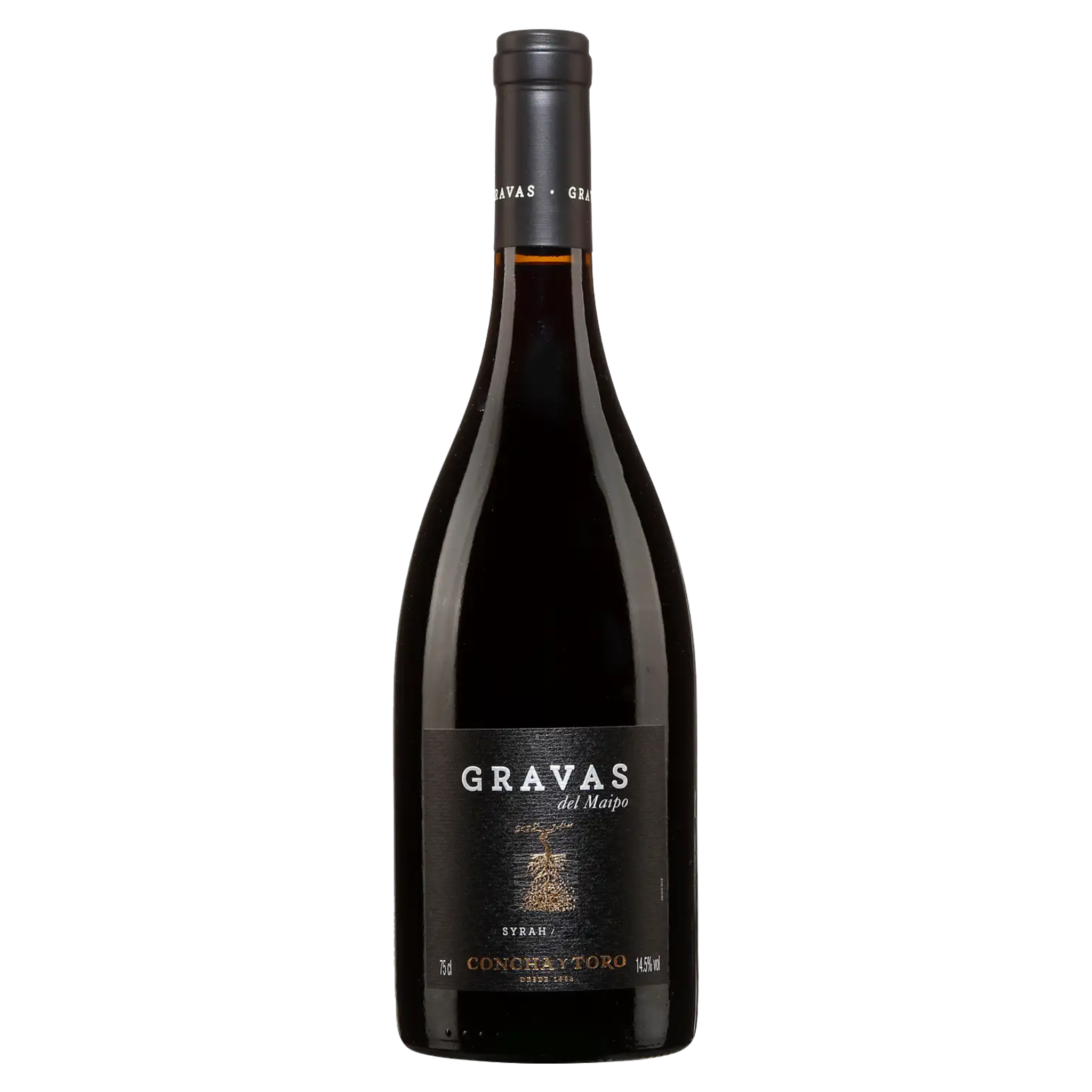 Gravas Del Maipo Shiraz