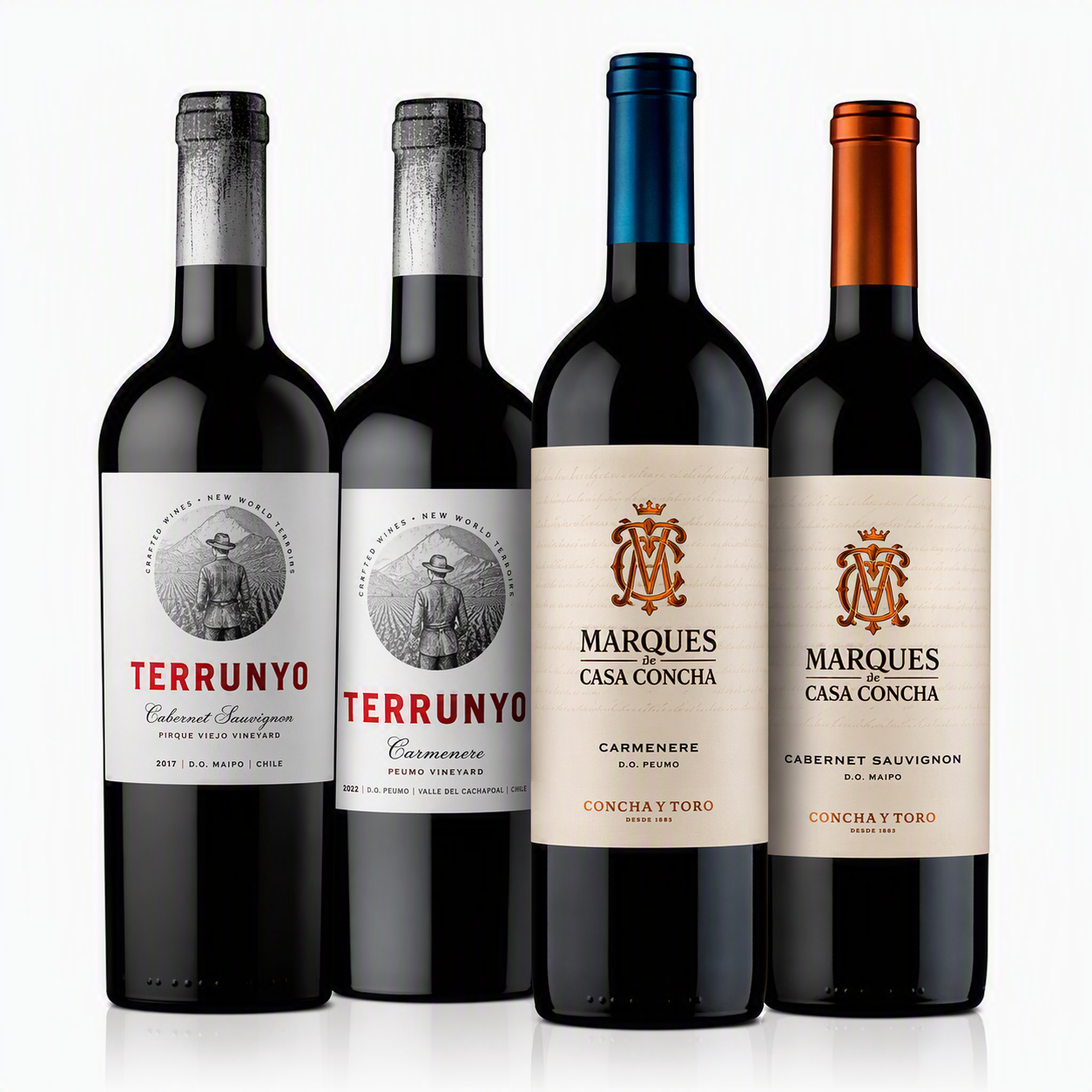Kit Especial Terrunyo e Marques - 4 garrafas