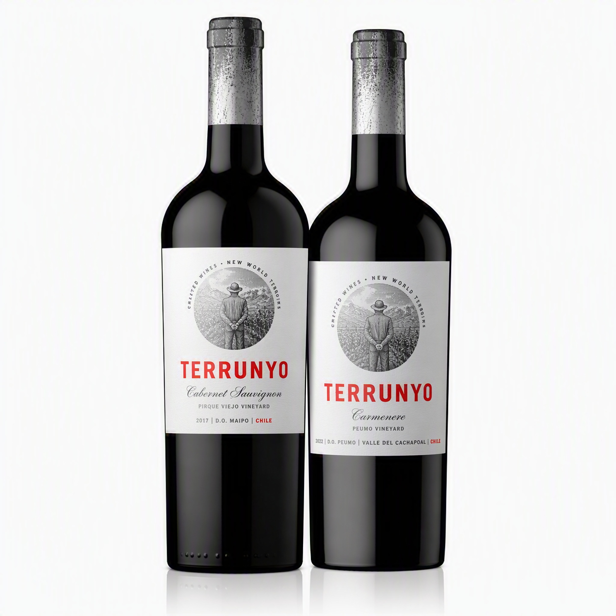 Kit Terrunyo Tintos - 2 garrafas