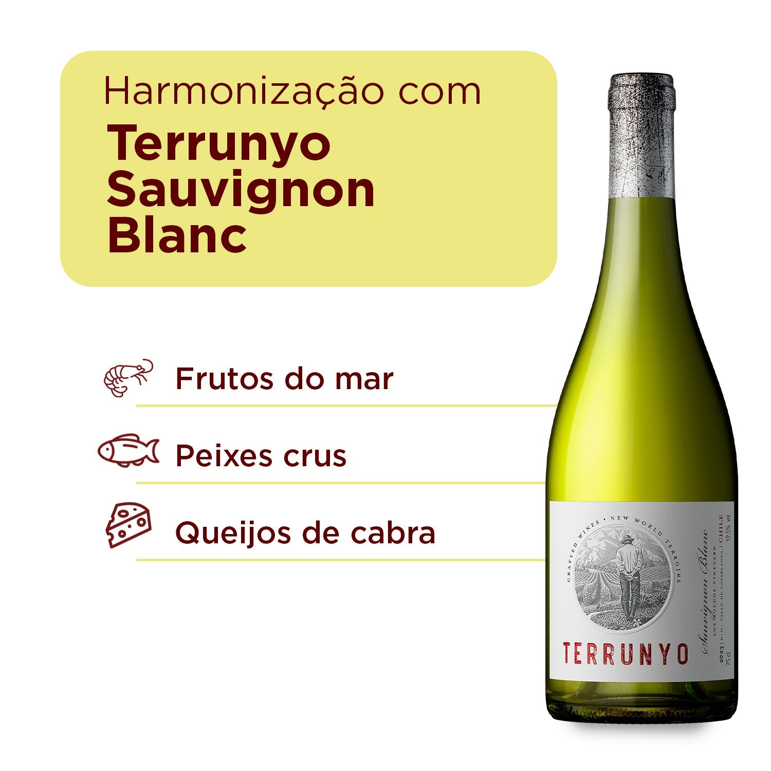 Terrunyo Sauvignon Blanc