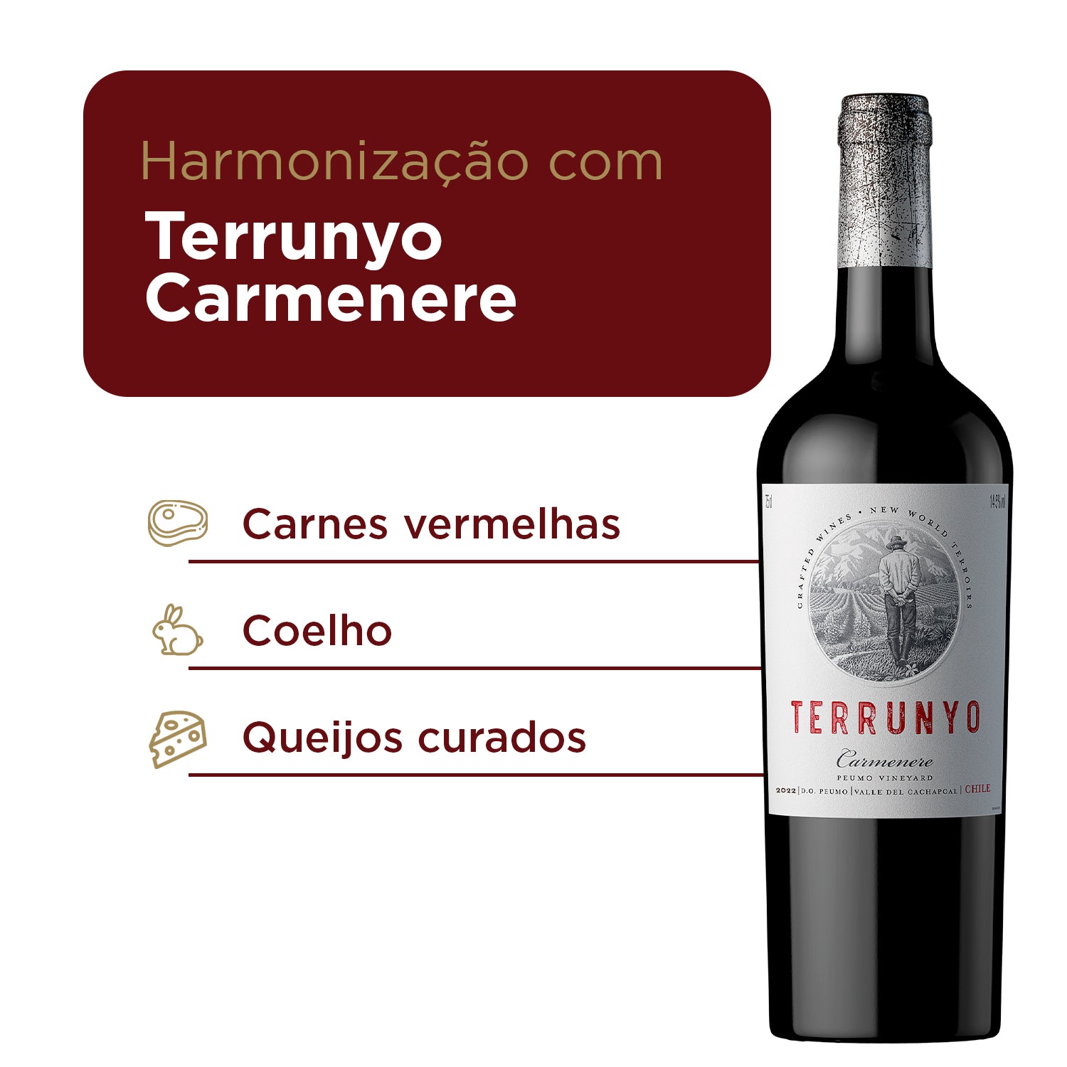 Kit Especial Terrunyo e Marques - 4 garrafas