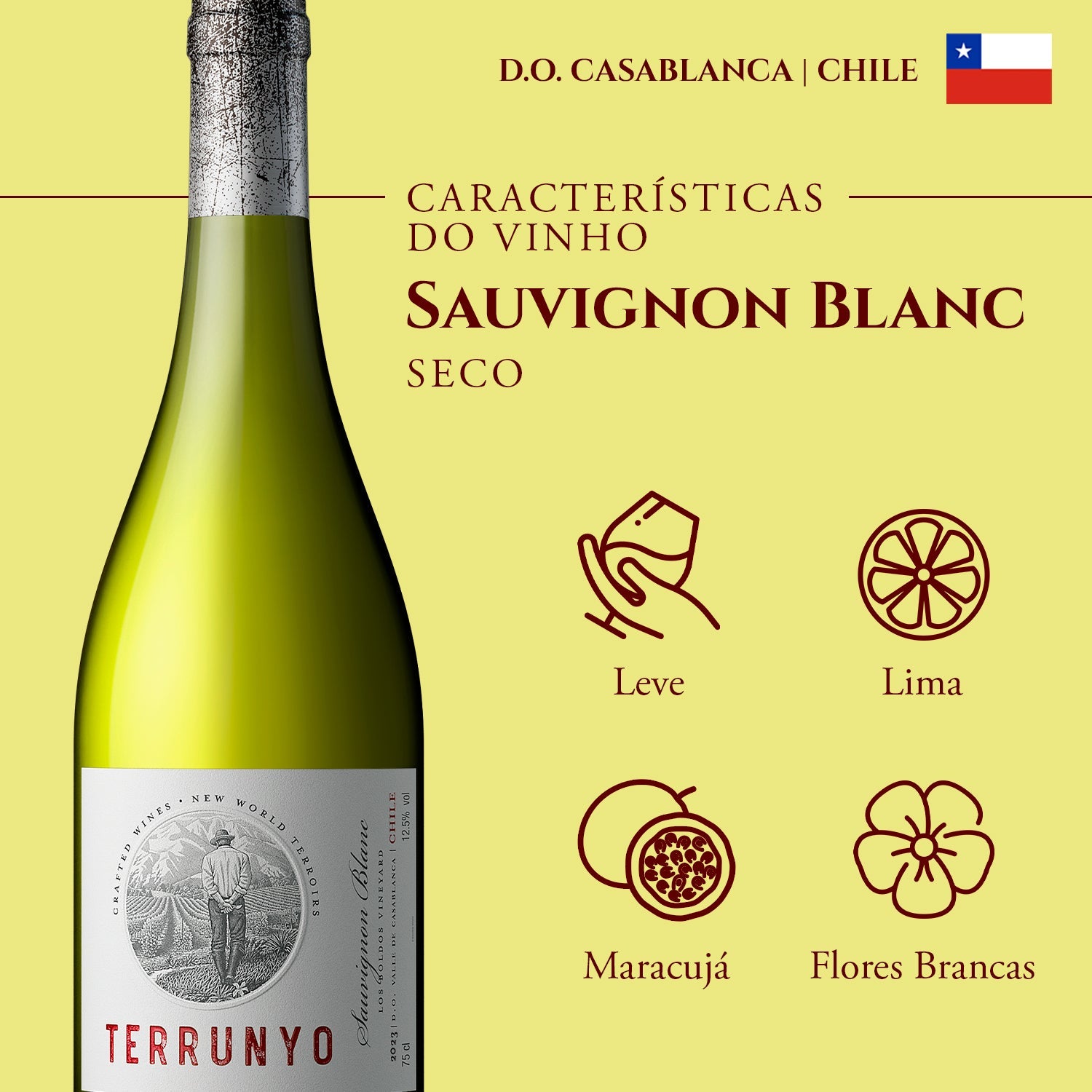 Terrunyo Sauvignon Blanc