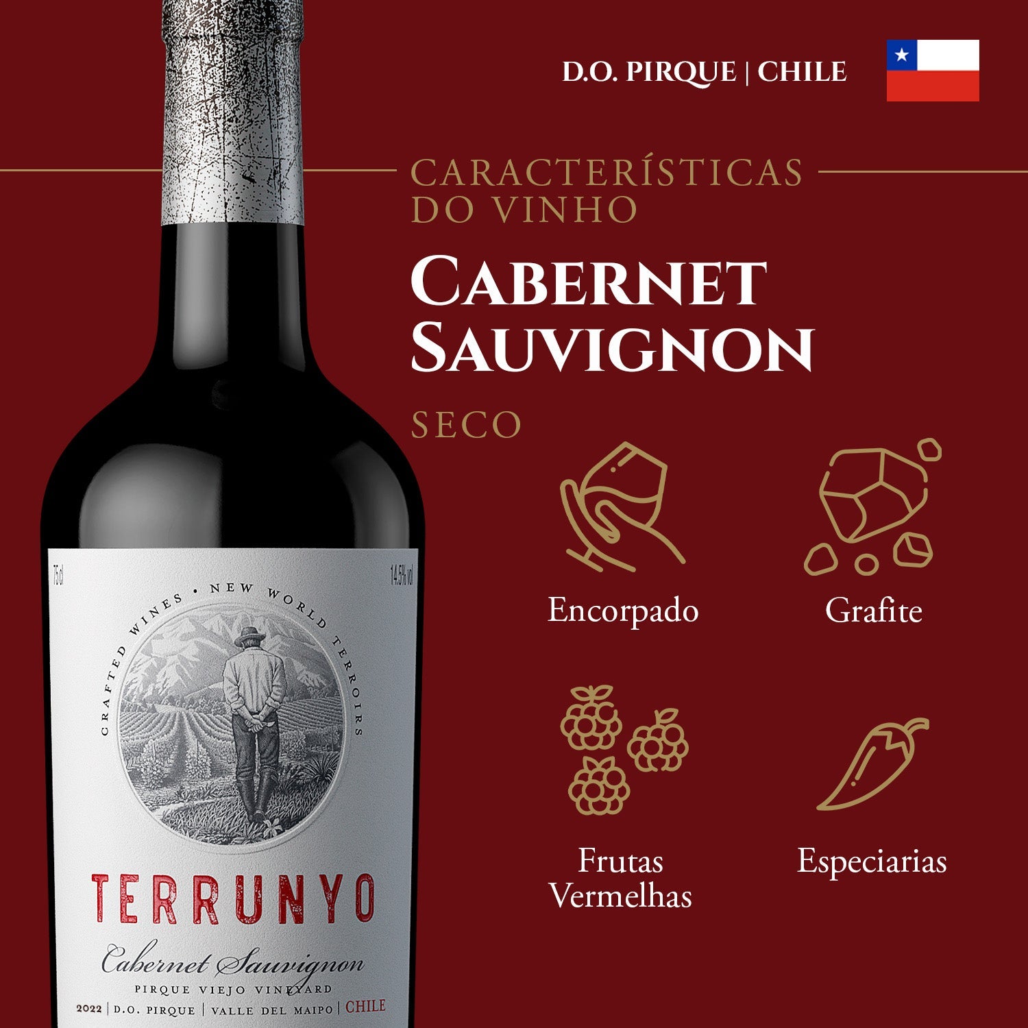 Terrunyo Cabernet Sauvignon