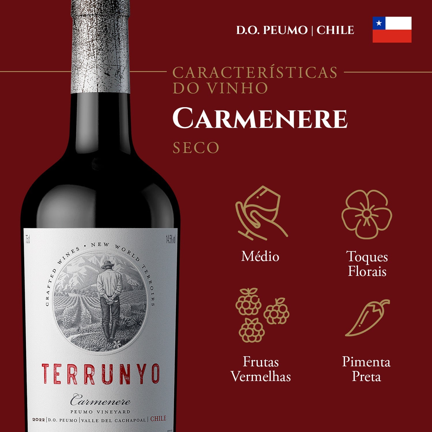 Terrunyo Carmenere