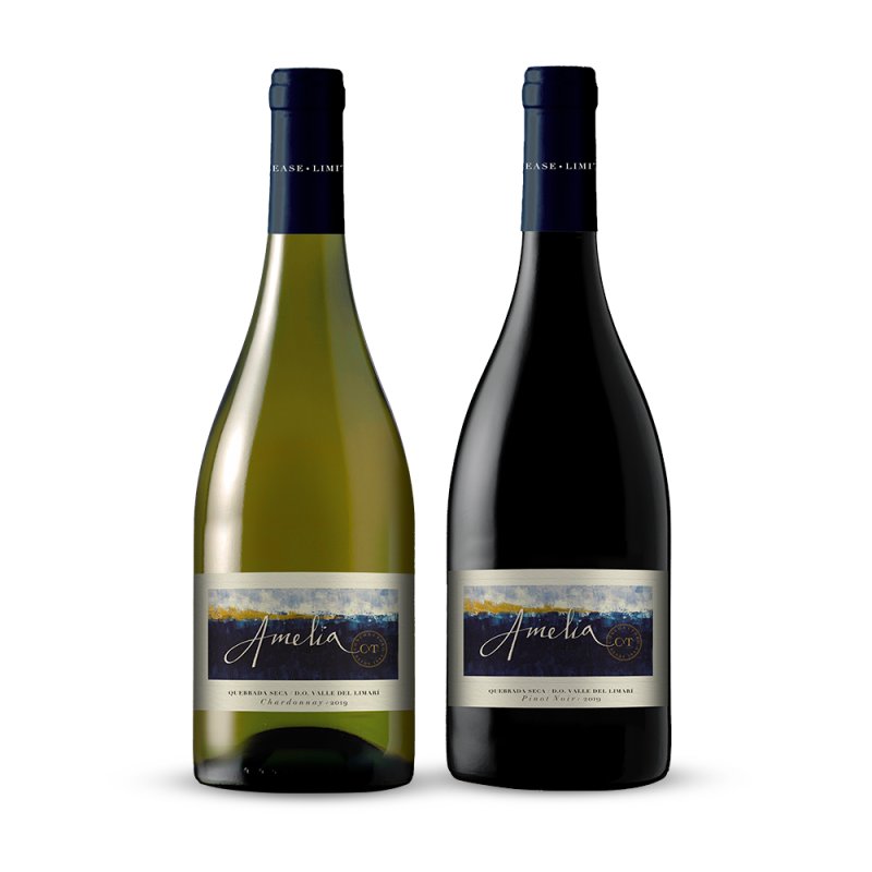 Garrafa de Kit Amelia Pinot Noir & Chardonnay - 2 garrafas, kits